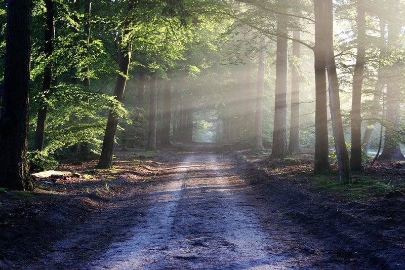 Nature Trail